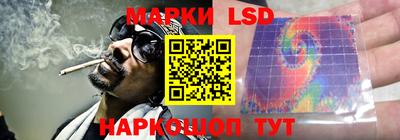 МДПВ Новозыбков