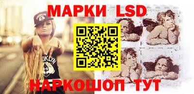 МДПВ Новозыбков