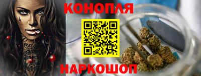 МДПВ Новозыбков