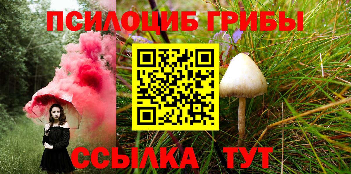 Псилоцибиновые грибы Magic Shrooms Пугачёв