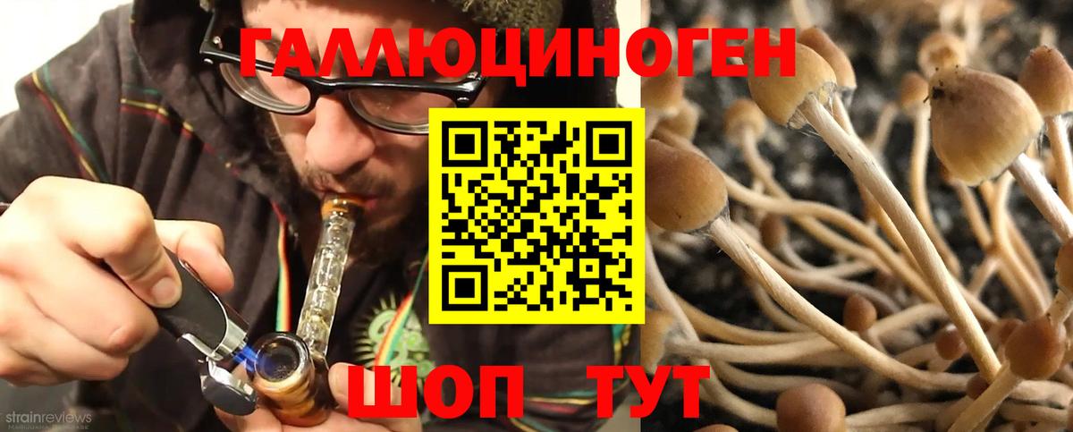 Пугачёв  Галлюциногенные грибы мухоморы  Вход с VPN  дарнет шоп  Псилоцибиновые грибы GOLDEN TEACHER 